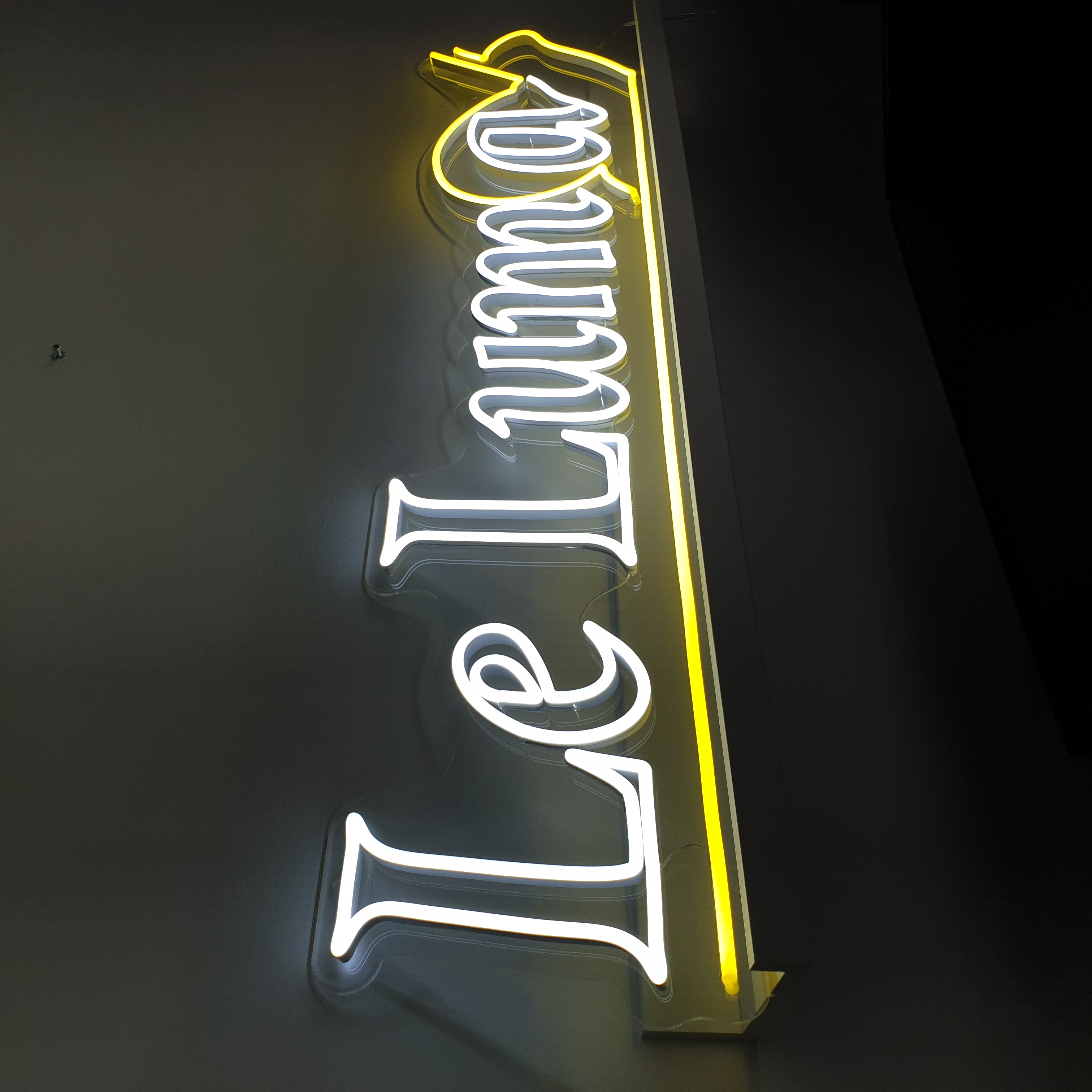Création du logo Le Luma en néon led.